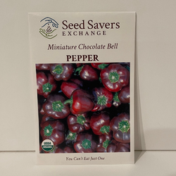 Miniature Chocolate Bell Pepper (Sweet), Organic